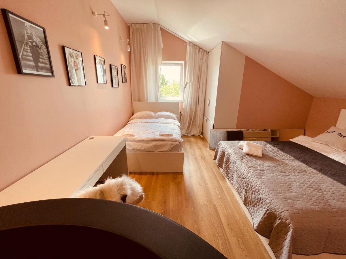 Apartamenty Ktw Penthouse Z Tarasem Katowice Kültér fotó
